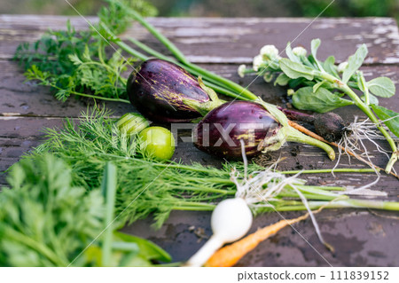 Fresh eggplants, onion, carrot, tomatoes, parsley and green leaves on table Fresh eggplants, onion, carrot, tomatoes, parsley and green leaves on table 111839152