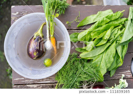 Eggplant, onions, carrots in water in container next to parsley and green leaves Eggplant, onions, carrots in water in container next to parsley and green leaves 111839165