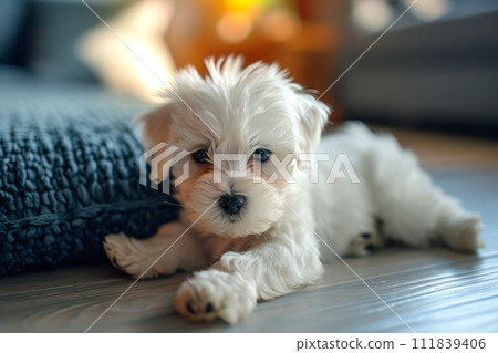 AI-generated content. A small white dog lies comfortably on top of a wooden floor, enjoying a moment of relaxation. AI-generated content. A small white dog lies comfortably on top of a wooden floor, enjoying a moment of relaxation. 111839406