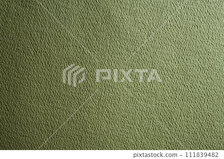 green paper 111839482