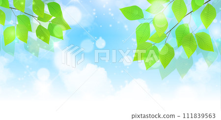 New green leaves landscape background 111839563