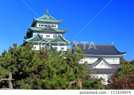 [愛知縣]名古屋城本館 111839974