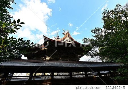 從神崎神社出發 111840245