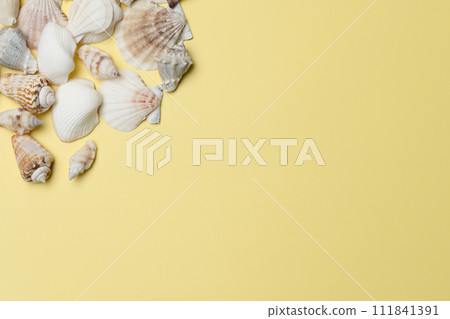 Summer image shell Summer image shell 111841391