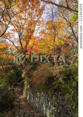 Kadoya, Shinshiro City, Aichi Prefecture Autumn leaves of Mt. Horaiji Temple Kadoya, Shinshiro City, Aichi Prefecture Autumn leaves of Mt. Horaiji Temple 111841654
