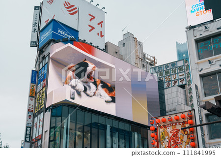 Giant cat 3D calico on the Cross Shinjuku Vision screen. Landmark and popular for tourist attraction in Shinjuku. Tokyo, Japan, 17 November 2023 111841995