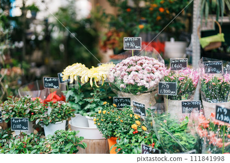 Flowers shop in Ameyoko. Landmark for tourist attraction in Ueno. Tokyo, Japan, 18 November 2023 Flowers shop in Ameyoko. Landmark for tourist attraction in Ueno. Tokyo, Japan, 18 November 2023 111841998