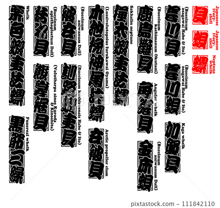 白日本像牙殼英語2 111842110