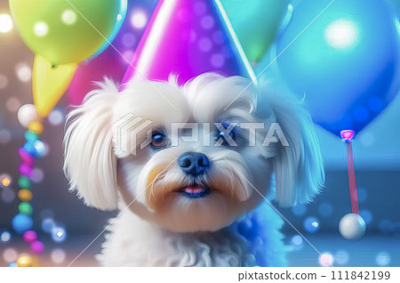 Cute puppy in a party hat on a blue background, cute funny dog celebrating his birthday 111842199