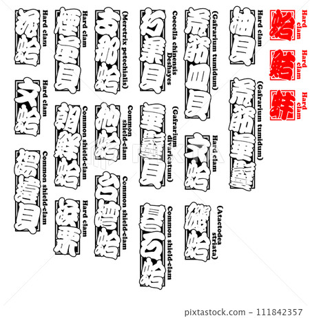 貝類蛤 Hamaguri 硬蛤英文 1 111842357