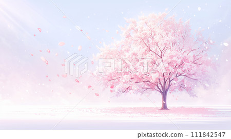 Frame with falling cherry blossom petals Frame with falling cherry blossom petals 111842547