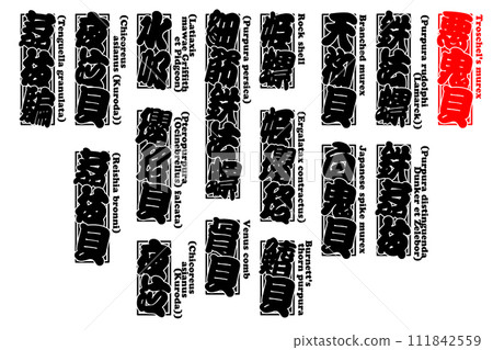 貝類惡魔貝類 akkigai akkigai Akkigai Troschel's murex 英語 3 111842559