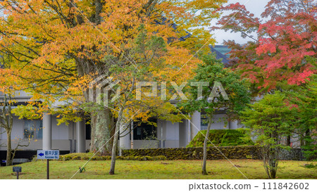 [長野縣]輕井澤站前的紅葉*輕井澤的自然風光 111842602