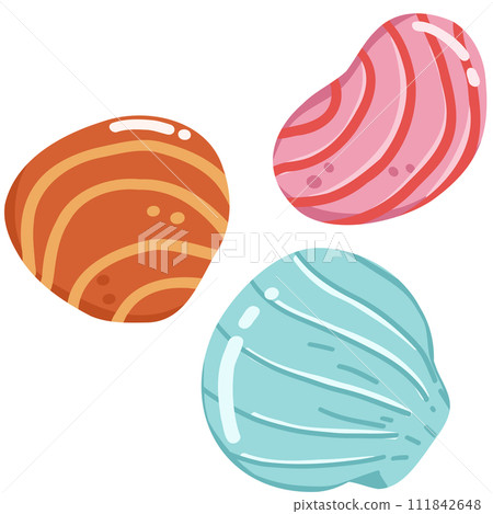 set of sea shells set of sea shells 111842648