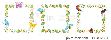Spring insect butterfly bee ladybug frame set Spring insect butterfly bee ladybug frame set 111842681