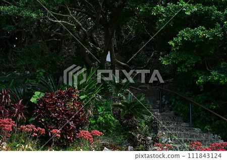 從Santen Goza 從Santen Goza 111843124