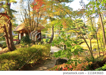 Scenery of Oyakuen Garden Scenery of Oyakuen Garden 111843683