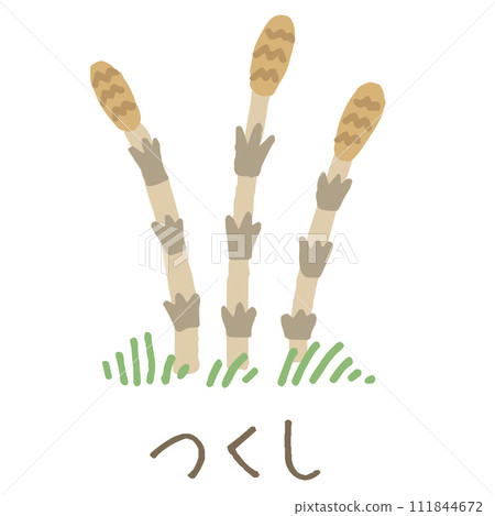 Horsetail illustration (with name) 111844672