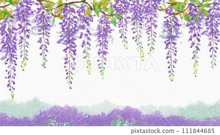 Wisteria background 111844685