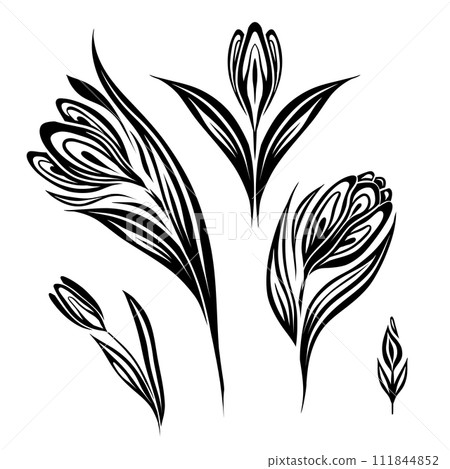 Vector set of monochrome spring flowers. Decorative tracery silhouette illustration of crocuses isolated from background. Floral clipart Vector set of monochrome spring flowers. Decorative tracery silhouette illustration of crocuses isolated from background. Floral clipart 111844852