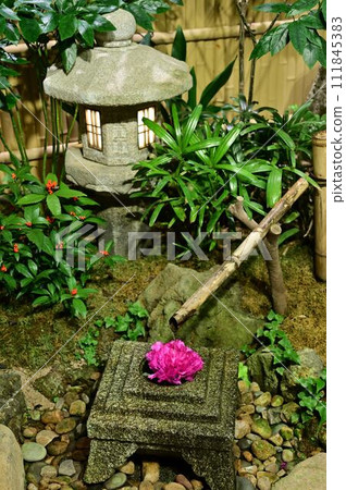 Peony of Yushien Peony of Yushien 111845383