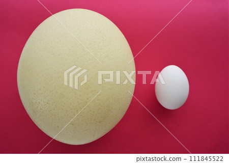 Ostrich eggs and chicken eggs 111845522