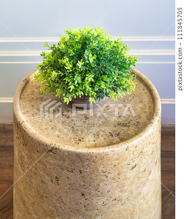 Potted plant on marble side table in modern living room, with sleek surface and minimalist frame Potted plant on marble side table in modern living room, with sleek surface and minimalist frame 111845705