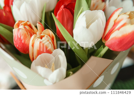 Spring Gift: Bright Tulip Bouquet for a Special March 8th Celebration Spring Gift: Bright Tulip Bouquet for a Special March 8th Celebration 111846429