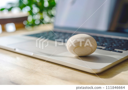 Wooden egg photography Wooden egg photography 111846664