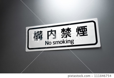 寫實形象照片 寫實形象照片 111846754