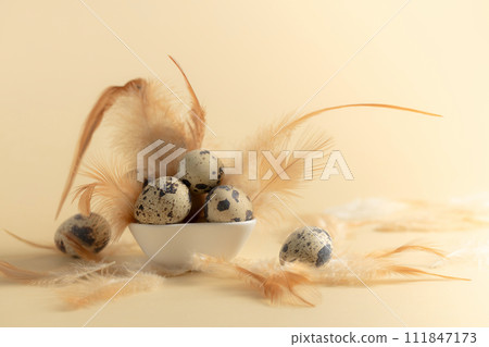 Quail eggs and feathers on a yellow background. 111847173