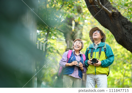 Senior couple hiking 111847715