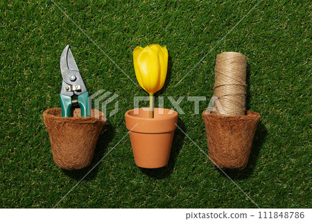 Garden tool, tulip and twine in flower pots on green background, top view 111848786