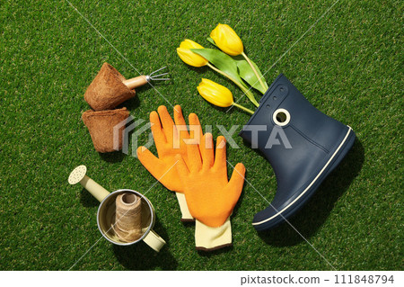 Gardening supplies and tulips in rubber boot on green background, top view Gardening supplies and tulips in rubber boot on green background, top view 111848794