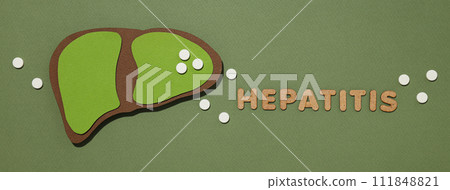 Paper mockup of liver and text on green background, top view 111848821