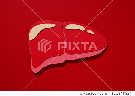 Paper mockup of liver on red background, top view 111848824