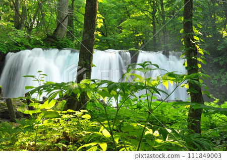 Oirase streams waterfall 111849003