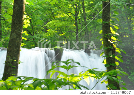 Oirase streams waterfall 111849007