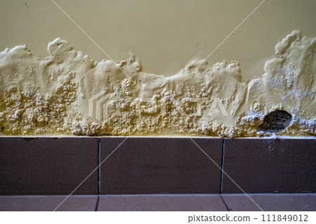 A damaged wall showing signs of moisture and mold buildup requiring immediate repair and maintenance. A damaged wall showing signs of moisture and mold buildup requiring immediate repair and maintenance. 111849012