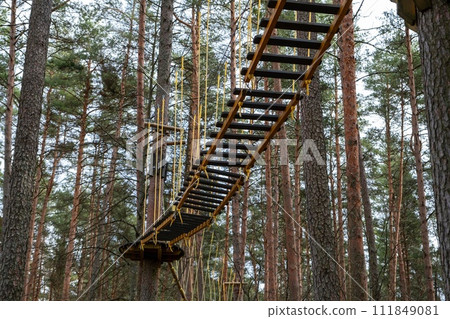A treetop adventure park with a suspended bridge among tall pine trees. A treetop adventure park with a suspended bridge among tall pine trees. 111849081
