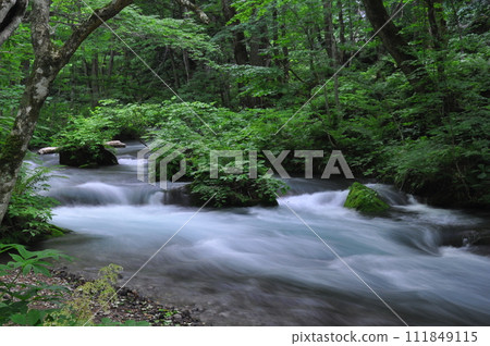 綠色Oirase流 綠色Oirase流 111849115