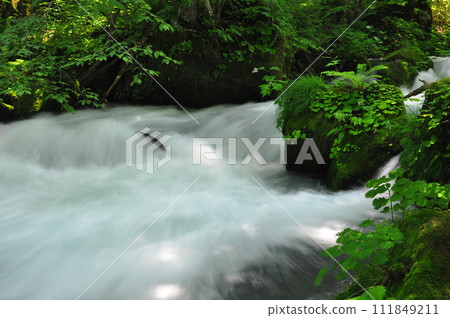 Green Oirase Stream Green Oirase Stream 111849211