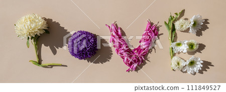 Creative minimalistic design of flowers petals and leafs making word text LOVE on beige background. Romantic pastel flowers. Modern aesthetic 111849527