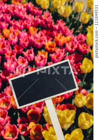 Empty blackboard with copy space for your text. Mockup template Blooming floral park in sunrise light. Colorful Tulip flowers blooming in the garden field landscape. Beautiful spring garden with many 111849531