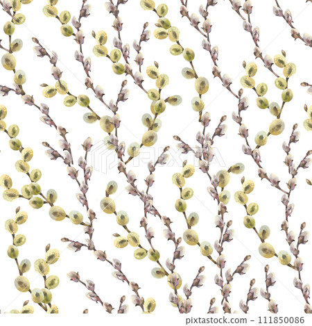 Watercolor seamless pattern with willow branches. Hand painted willow wood isolated on white background. Spring illustration for design, print, fabric or background. Template for Easter Watercolor seamless pattern with willow branches. Hand painted willow wood isolated on white background. Spring illustration for design, print, fabric or background. Template for Easter 111850086