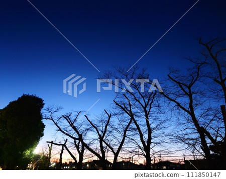 公園在黃昏 公園在黃昏 111850147