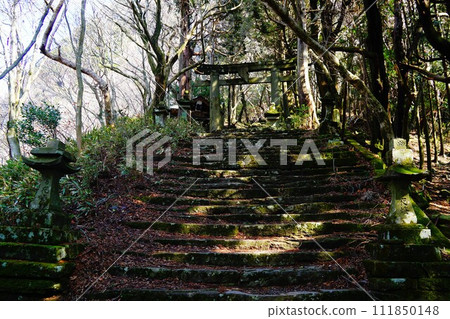 多良岳鳥居~多良岳神社上社 多良岳鳥居~多良岳神社上社 111850148