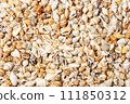 Background of seashells, top view composition 111850312