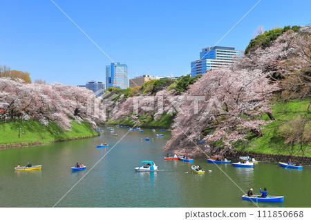 [東京] 千鳥淵晴空萬裡，櫻花盛開 111850668
