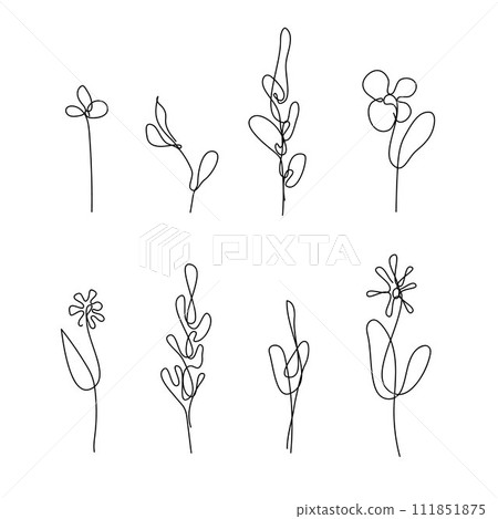 Continuous Line Drawing Set Of Plants Black Sketch of Flowers Isolated on White Background. Continuous Line Drawing Set Of Plants Black Sketch of Flowers Isolated on White Background. 111851875